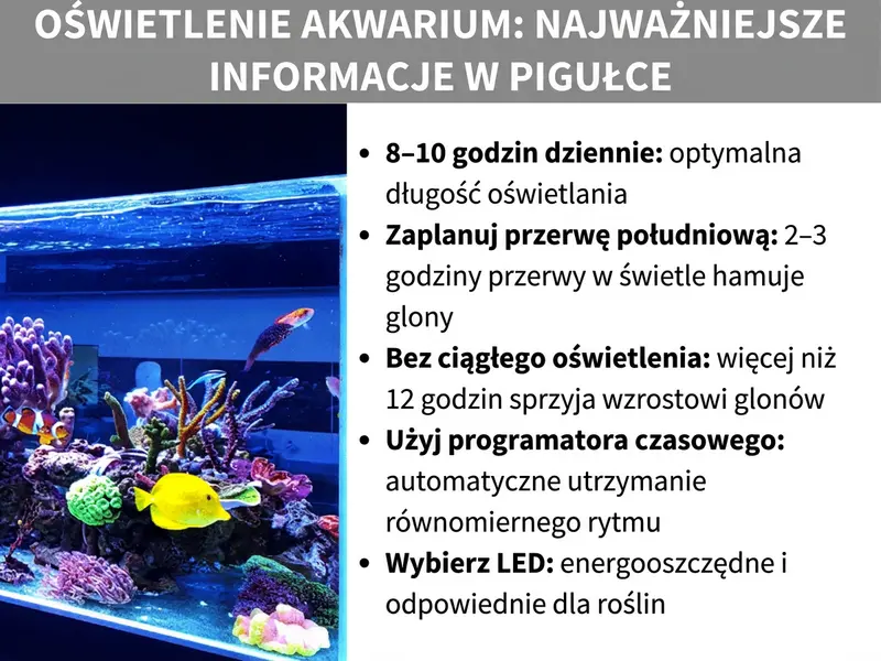 Infografika: Oświetlenie akwarium – najważniejsze informacje w skrócie. Grafika przedstawia po lewej stronie oświetlone akwarium morskie z kolorowymi koralowcami, żółtą rybą i innymi mieszkańcami morza pod niebieskim światłem LED. Po prawej stronie lista z pięcioma punktami: 1. 8–10 godzin dziennie: optymalny czas naświetlania. 2. Zaplanuj przerwę południową: 2–3 godziny przerwy od światła hamuje glony. 3. Bez ciągłego oświetlenia: ponad 12 godzin sprzyja rozwojowi glonów. 4. Użyj programatora czasowego: automatycznie utrzymuj równomierny rytm. 5. Wybierz LED: energooszczędne i odpowiednie dla roślin.