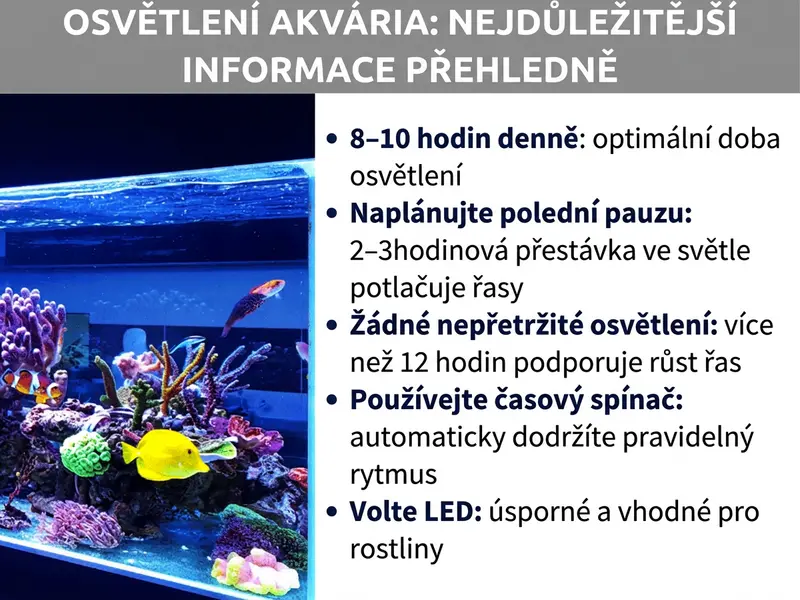 Infografika: Osvětlení akvária – to nejdůležitější na první pohled. Grafika vlevo zobrazuje osvětlené mořské akvárium s barevnými korály, žlutou rybou a dalšími mořskými obyvateli pod modrým LED světlem. Vpravo seznam pěti bodů: 1. 8–10 hodin denně: optimální doba svícení. 2. Polední pauza: 2–3 hodiny bez světla brzdí řasy. 3. Žádné nepřetržité svícení: více než 12 hodin podporuje růst řas. 4. Časový spínač: automaticky udržuje pravidelný rytmus. 5. LED osvětlení: úsporné a vhodné pro rostliny.