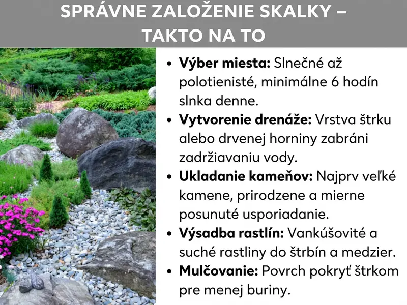 Infografika: Návod na založenie skalky s názvom „Ako správne založiť skalku“. Vľavo je fotografia bohato vysadenej skalky s veľkými balvanmi, štrkom, vždyzelenými rastlinami a ružovo kvitnúcimi pokryvnými rastlinami. Vpravo je uvedených päť krokov: 1. Výber miesta – slnečné až polotienisté, minimálne šesť hodín slnka denne. 2. Vytvorenie drenáže – vrstva štrku alebo drveného kameňa zabraňuje stojatej vode. 3. Uloženie kameňov – najskôr veľké kamene, ukladať prirodzene a mierne posunuté. 4. Výsadba rastlín – vankúšikové a suchomilné rastliny zasadiť do štrbín a medzier. 5. Mulčovanie – povrch pokryť štrkom na obmedzenie buriny.