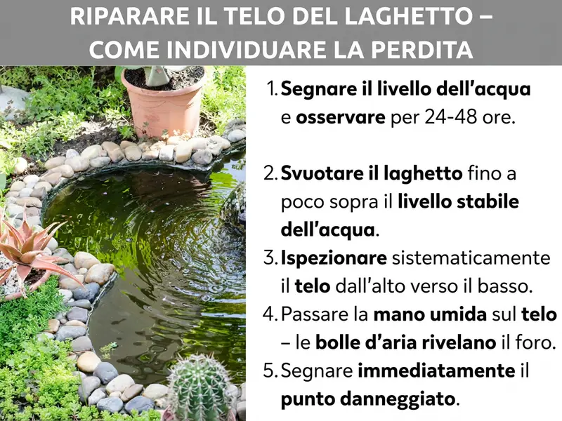 Infografica: rattoppare il telo del laghetto – ecco come trovare la perdita. A sinistra una foto di un laghetto da giardino rotondo con bordo in pietra e piante circostanti. A destra un elenco numerato con cinque punti: 1. Segna il livello dell’acqua e osservalo per 24–48 ore. 2. Svuota il laghetto fino a poco sopra il livello stabile. 3. Controlla il telo sistematicamente dall’alto verso il basso. 4. Passa la mano bagnata sul telo: le bollicine d’aria rivelano il buco. 5. Segna subito il punto danneggiato.