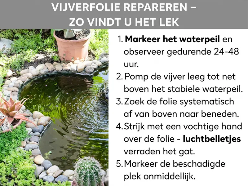 Infographic: Vijverfolie repareren – zo vind je het lek. Links een foto van een ronde tuinvijver met stenen rand en omringende planten. Rechts een genummerde lijst met vijf punten: 1. Waterpeil markeren en 24-48 uur observeren. 2. Vijver leegpompen tot net onder het stabiele peil. 3. Folie van boven naar beneden systematisch inspecteren. 4. Met een vochtige hand over de folie strijken – luchtbelletjes verraden het gat. 5. Beschadigde plek direct markeren.