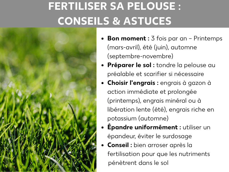 Infographie « Engrais gazon : astuces et conseils » avec cinq points clés sur fond blanc, à côté d'une photo de gazon vert et dense. Les conseils portent sur le bon moment (3 fois par an : printemps, été, automne), la préparation du sol par la tonte et la scarification, le choix de l'engrais adapté à la saison, l'épandage régulier à l'aide d'un épandeur, et l'importance d'arroser abondamment après la fertilisation.