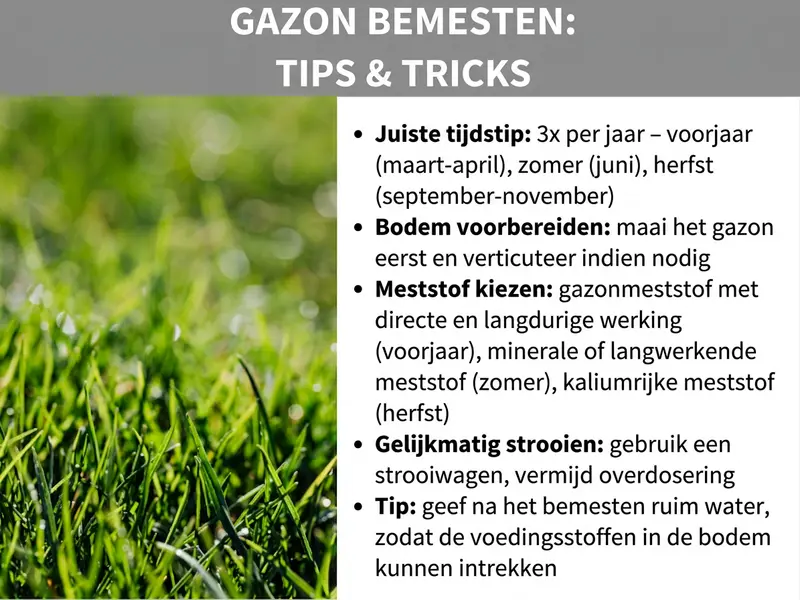 Infographic "Gazon bemesten: tips & tricks" met vijf aandachtspunten op een witte achtergrond naast een foto van sappig groen gras. De tips omvatten het juiste moment (3x per jaar: voorjaar, zomer, herfst), bodemvoorbereiding door maaien en verticuteren, de keuze van de juiste meststof per seizoen, gelijkmatig strooien met een strooiwagen en de opmerking dat je na het bemesten voldoende moet beregenen.