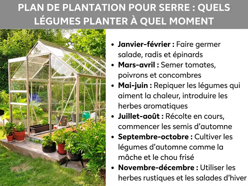 Infographie : plan de culture pour une serre, indiquant quels légumes planter et quand. À gauche, une photo d'une serre dans un jardin, entourée de plantes en pot. À droite, une liste en six points : 1. Janvier-février : préparer les semis de salade, radis et épinards. 2. Mars-avril : semer les tomates, poivrons et concombres. 3. Mai-juin : repiquer les légumes exigeants en chaleur, installer les herbes aromatiques. 4. Juillet-août : récoltes en continu, préparation des semis d'automne. 5. Septembre-octobre : planter les légumes d'automne comme la mâche et le chou frisé. 6. Novembre-décembre : récolter les herbes rustiques et les salades d'hiver.
