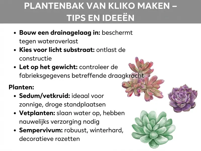 Infographic: Afvalbakombouw beplanten – tips en ideeën. De afbeelding toont op een witte achtergrond praktische aanwijzingen voor het beplanten van een afvalbakombouw. Onder de grijs gearceerde titel worden eerst drie algemene tips genoemd: een drainagelaag aanbrengen (beschermt tegen wateroverlast), een licht substraat kiezen (ontziet de constructie) en op het gewicht letten en de draagkracht volgens de fabrikant controleren. In het gedeelte "Planten" worden drie geschikte plantensoorten aanbevolen: sedum/vetkruid (ideaal voor zonnige, droge standplaatsen), vetplanten (slaan water op, nauwelijks onderhoud nodig) en sempervivum (robuust, winterhard, decoratieve rozetten). Rechts naast de tekst zijn aquarelillustraties te zien van drie vetplanten: twee kleinere roodgroene rozetten bovenaan en een grotere groene rozet onderaan.