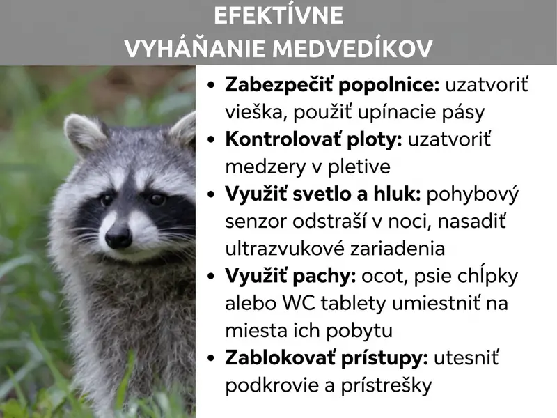 Infografika: Nadpis „Ako účinne vyhnať medvedíky" na sivom pruhu. Vľavo fotografia medvedíka v tráve, ktorý sa pozerá do kamery. Vpravo zoznam s piatimi tipmi: Zabezpečte smetné nádoby – zatvorte veko, použite upínacie popruhy; Skontrolujte ploty – uzavrite medzery v drôtenom plote; Využite svetlo a hluk – senzor pohybu plaší v noci, použite ultrazvukové zariadenia; Využite pachy – ocot, psiu srsť alebo WC kocky umiestnite na miesta výskytu; Zablokujte prístupy – utesnite podkrovie a kôlne.