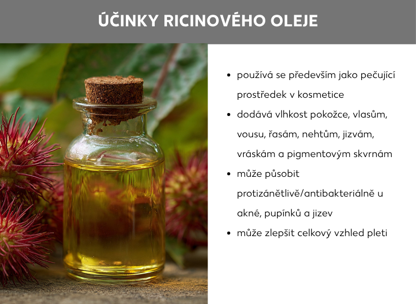 Informační grafika o účincích ricinového oleje s fotkou lahve s olejem a pupeny skočce obecného vlevo. Text vpravo: Pečující kosmetické přípravky; dodává hydrataci pokožce, vlasům, vousům, řasám i nehtům, pečuje o jizvy, vrásky a pigmentové skvrny; může působit protizánětlivě při problémech s akné a pupínky; zlepšuje vzhled pleti, pokud má sklony k nedokonalostem.