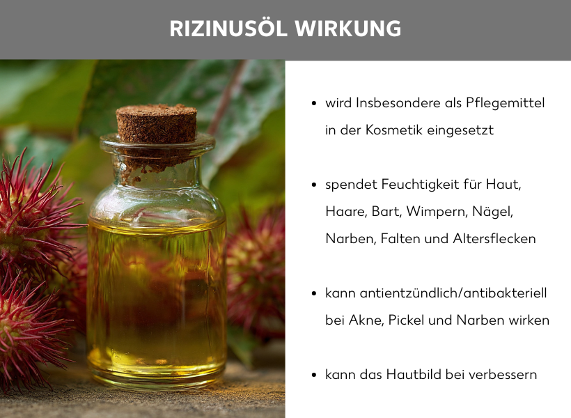 Infografik zur Wirkung von Rizinusöl mit Foto einer Ölflasche und Rizinusknospen auf der linken Seite. Text auf der rechten Seite: Pflegemittel für Kosmetik; spendet Feuchtigkeit für Haut, Haare, Bart, Wimpern, Nägel, Narben, Falten und Altersflecken; kann antientzündlich bei Akne und Pickel wirken; verbessert das Hautbild bei Unreinheiten.