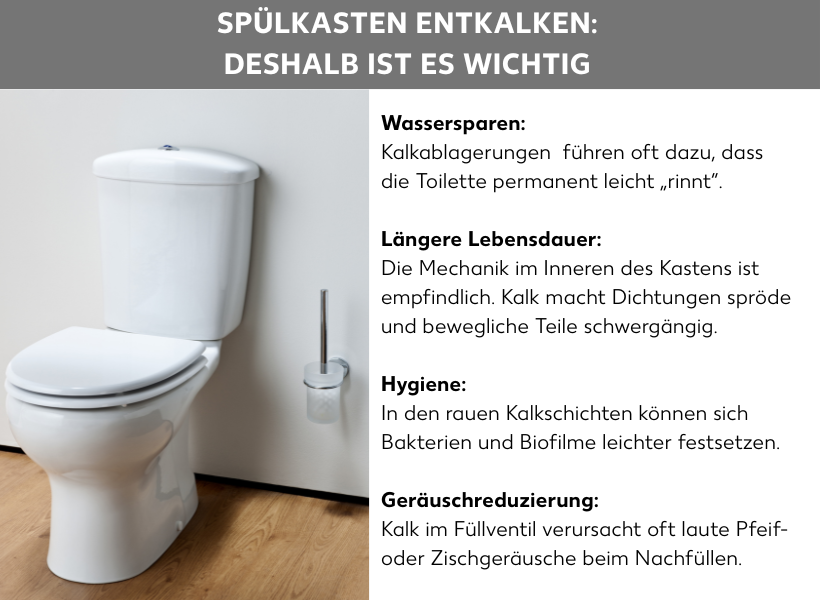 Infografik: Spülkasten entkalken: Deshalb ist es wichtig Wassersparen: Kalkablagerungen führen oft dazu, dass die Toilette permanent leicht „rinnt“. Längere Lebensdauer: Die Mechanik im Inneren des Kastens ist empfindlich. Kalk macht Dichtungen spröde und bewegliche Teile schwergängig. Hygiene: In den rauen Kalkschichten können sich Bakterien und Biofilme leichter festsetzen. Geräuschreduzierung: Kalk im Füllventil verursacht oft laute Pfeif- oder Zischgeräusche beim Nachfüllen.