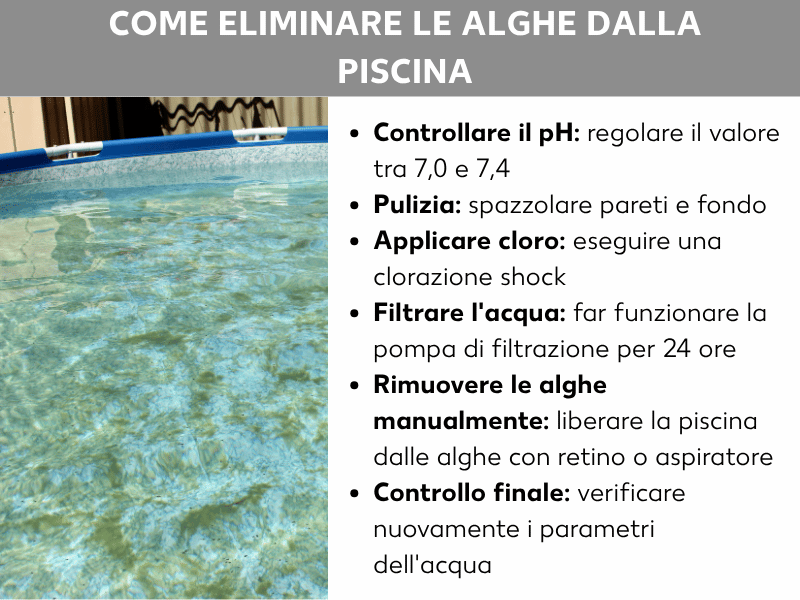 Infografica: come eliminare le alghe dalla piscina. A sinistra, la foto di una piscina fuori terra con acqua leggermente verdastra. A destra, un elenco di sei passaggi: 1. Controllare il pH: regolarlo tra 7,0 e 7,4. 2. Pulizia: strofinare pareti e fondo. 3. Applicare il cloro: eseguire una clorazione shock. 4. Filtrare l'acqua: far funzionare la pompa filtrante per 24 ore. 5. Rimuovere le alghe manualmente: usare un retino o un aspirafango per eliminarle. 6. Verifica finale: controllare nuovamente i valori dell'acqua.
