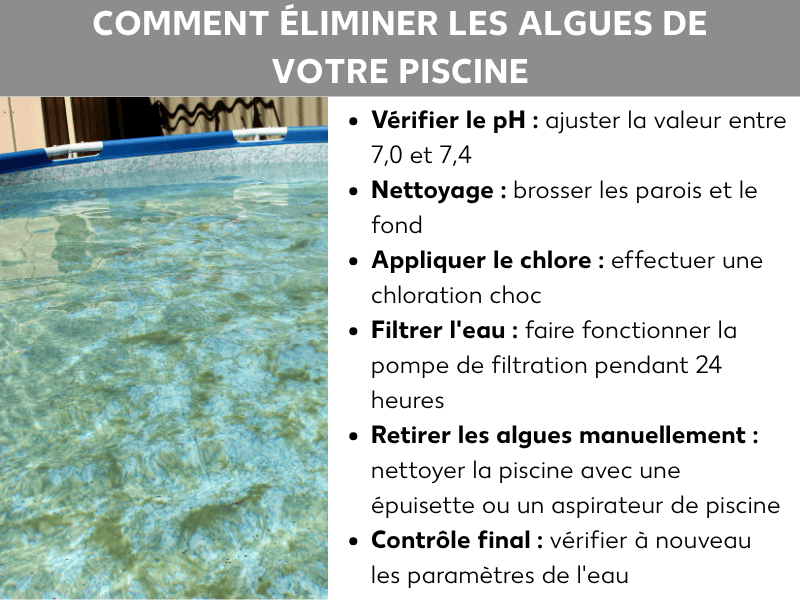 Infographie : comment éliminer les algues de la piscine. À gauche, une photo d'une piscine hors sol à l'eau légèrement verdâtre. À droite, une liste de six étapes : 1. Vérifier le pH : ajuster entre 7,0 et 7,4. 2. Nettoyage : frotter les parois et le fond. 3. Appliquer le chlore : effectuer une chloration choc. 4. Filtrer l'eau : laisser la pompe tourner 24 heures. 5. Retirer les algues manuellement : utiliser une épuisette ou un aspirateur de piscine. 6. Contrôle : vérifier à nouveau les paramètres de l'eau.