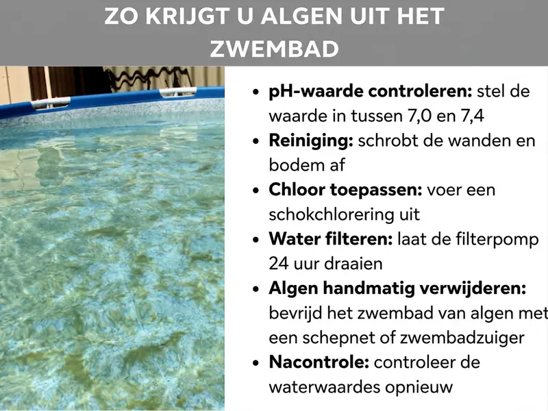 Infographic: Zo verwijder je algen uit het zwembad. Links een foto van een opzetzwembad met lichtgroen water. Rechts een lijst met zes stappen: 1. pH-waarde controleren: waarde tussen 7,0 en 7,4 instellen. 2. Reinigen: wanden en bodem schrobben. 3. Chloor toepassen: shockbehandeling uitvoeren. 4. Water filteren: filterpomp 24 uur laten draaien. 5. Algen handmatig verwijderen: zwembad met schepnet of zwembadstofzuiger van algen ontdoen. 6. Nacontrole: waterwaarden opnieuw controleren.