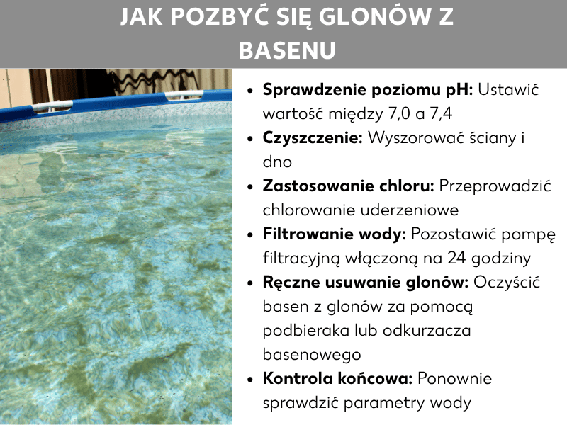 Infografika przedstawiająca, jak usunąć glony z basenu w 6 krokach. Po lewej stronie zdjęcie basenu z zielonkawą wodą. Po prawej lista kroków: 1. Sprawdź i wyreguluj pH wody. 2. Wyszczotkuj ściany i dno basenu. 3. Przeprowadź chlorowanie szokowe. 4. Uruchom filtrację na 24 godziny. 5. Usuń martwe glony podbierakiem lub odkurzaczem. 6. Ponownie skontroluj parametry wody.