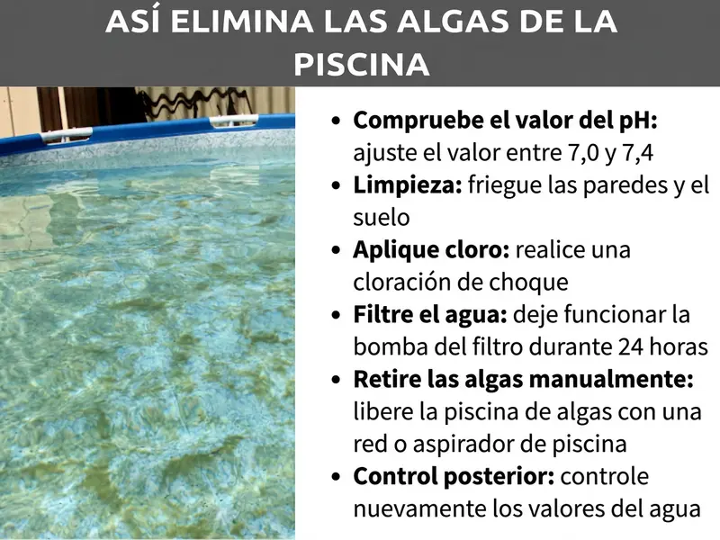 Infografía: Cómo eliminar las algas de la piscina. A la izquierda, una foto de una piscina desmontable con el agua ligeramente verdosa. A la derecha, una lista con seis pasos: 1. Comprobar el pH: ajustar el valor entre 7,0 y 7,4. 2. Limpieza: frotar paredes y fondo. 3. Aplicar cloro: realizar una cloración de choque. 4. Filtrar el agua: dejar la bomba de filtración en marcha 24 horas. 5. Retirar las algas manualmente: limpiar la piscina con un recogehojas o un limpiafondos. 6. Control posterior: volver a comprobar los valores del agua.