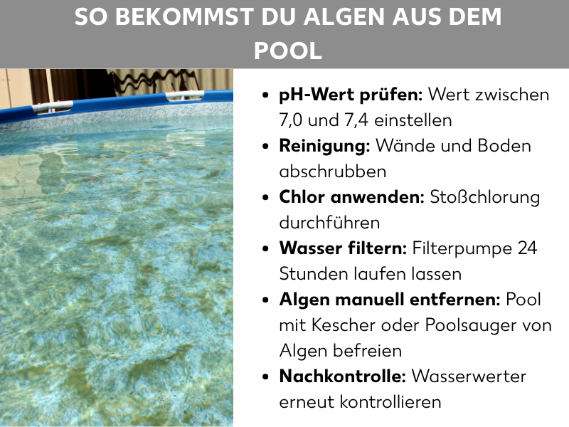Infografik: So bekommst du Algen aus dem Pool. Links ein Foto eines Aufstellpools mit leicht grünlichem Wasser. Rechts eine Liste mit sechs Schritten: 1. pH-Wert prüfen: Wert zwischen 7,0 und 7,4 einstellen. 2. Reinigung: Wände und Boden abschrubben. 3. Chlor anwenden: Stoßchlorung durchführen. 4. Wasser filtern: Filterpumpe 24 Stunden laufen lassen. 5. Algen manuell entfernen: Pool mit Kescher oder Poolsauger von Algen befreien. 6. Nachkontrolle: Wasserwerter erneut kontrollieren.