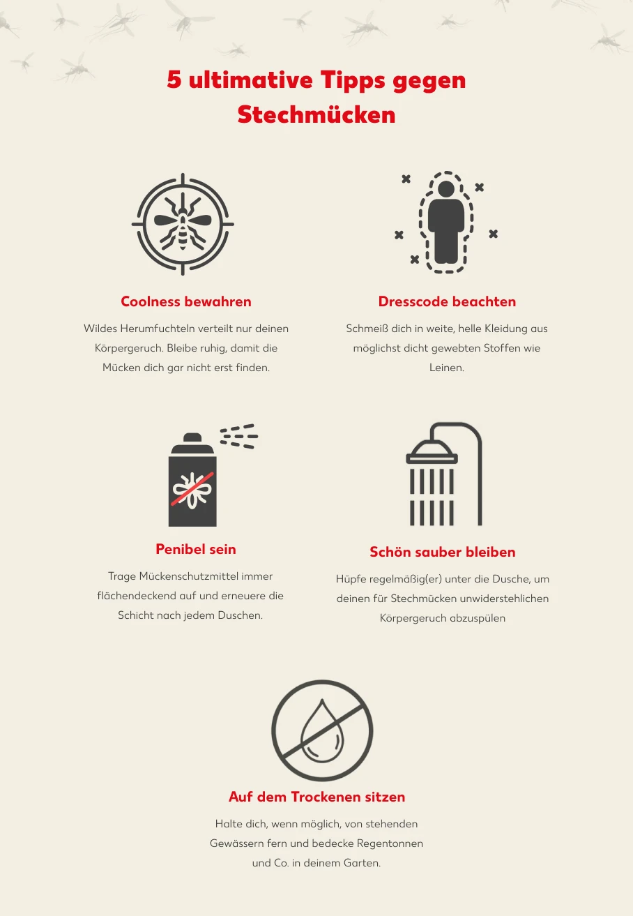 5 ultimative Tipps gegen Stechmücken