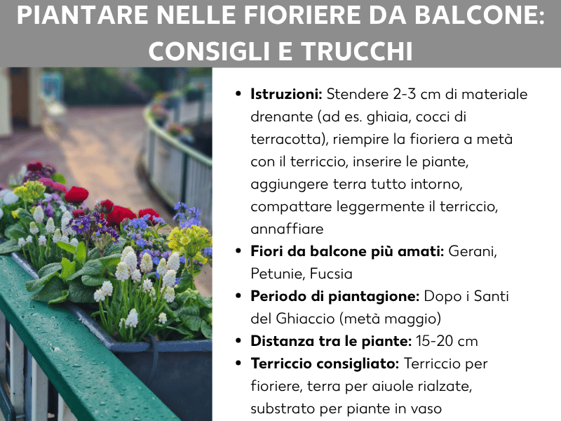 Infografica "Piantare le fioriere da balcone: consigli e trucchi" con la foto di una ringhiera da balcone riccamente fiorita (fiori rossi, gialli, blu e bianchi) e i seguenti punti: istruzioni per la messa a dimora (drenaggio, terriccio, posizionamento delle piante e annaffiatura), fiori da balcone più amati (gerani, petunie, fucsie), periodo ideale per la messa a dimora a partire da metà maggio, distanza tra le piante di 15–20 cm e terricci consigliati (terriccio per fioriere, per orti rialzati, per piante in vaso).