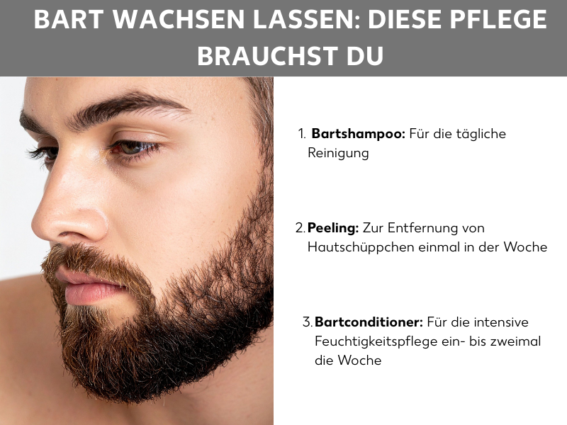 Infografik: Bart wachsen lassen: Diese Pflege brauchst du. Neben dem Foto eines Mannes mit Vollbart stehen folgende Listenpunkte: 1. Bartshampoo: Für die tägliche Reinigung, 2. Peeling: Zur Entfernung von Hautschüppchen einmal in der Woche, 3. Bartconditioner: Für die intensive Feuchtigkeitspflege ein- bis zweimal die Woche.