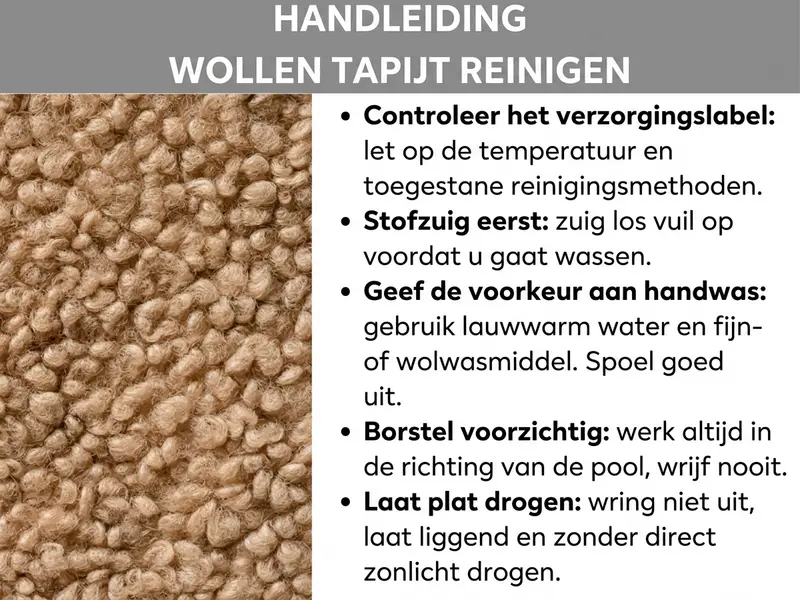 Infographic: Handleiding voor het reinigen van een wollen tapijt in vijf stappen: onderhoudsetiket controleren, stofzuigen, handwas met lauwwarm water en wolwasmiddel, voorzichtig borstelen in de poolrichting en plat drogen zonder wringen en direct zonlicht. Links een foto van een crèmekleurig flokati-tapijt.