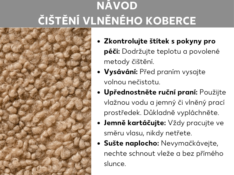 Infografika: Návod na čištění vlněného koberce v pěti krocích – kontrola etikety s pokyny k péči, vysávání, ruční praní vlažnou vodou s prostředkem na vlnu, jemné kartáčování ve směru vlasu a sušení naplocho bez ždímání a přímého slunce. Vlevo fotografie krémového koberce flokati.
