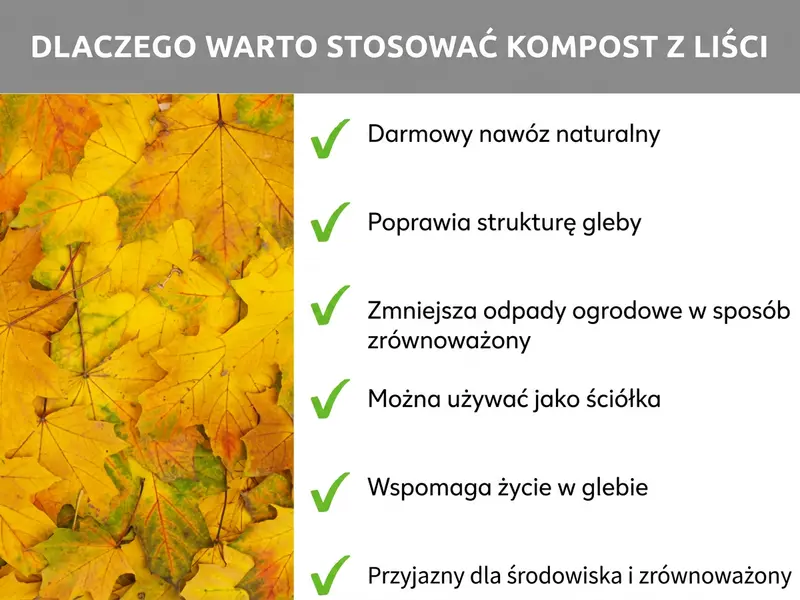 Infografika: Dlaczego warto kompostować liście – sześć zalet: 1. Darmowy, naturalny nawóz. 2. Poprawia strukturę gleby. 3. Zmniejsza ilość odpadów ogrodowych. 4. Można wykorzystać jako ściółkę. 5. Wspiera organizmy glebowe. 6. Ekologiczne i zrównoważone rozwiązanie.