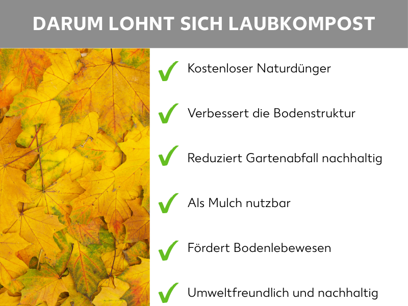 Infografik: Darum lohnt sich Laubkompost: Die Liste umfasst sechs Punkte: 1. Kostenloser Naturdünger. 2. Verbessert die Bodenstruktur. 3. Reduziert Gartenabfall nachhaltig. 4. Als Mulch nutzbar. 5. Fördert Bodenlebewesen. 6. Umweltfreundlich und nachhaltig.