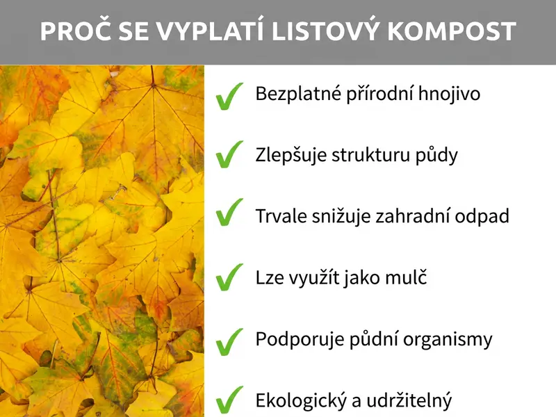 Infografika: Proč se kompostování listí vyplatí. Seznam obsahuje šest bodů: 1. Přírodní hnojivo zdarma. 2. Zlepšuje strukturu půdy. 3. Trvale snižuje zahradní odpad. 4. Lze využít jako mulč. 5. Podporuje půdní organismy. 6. Ekologické a udržitelné.