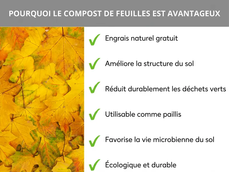 Infographie : Pourquoi composter les feuilles : La liste comprend six points : 1. Engrais naturel gratuit. 2. Améliore la structure du sol. 3. Réduit les déchets verts durablement. 4. Utilisable comme paillage. 5. Favorise les organismes du sol. 6. Écologique et durable.