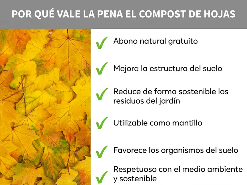 Infografía: Por qué merece la pena el compost de hojas: la lista incluye seis puntos: 1. Abono natural gratuito. 2. Mejora la estructura del suelo. 3. Reduce los residuos del jardín de forma sostenible. 4. Se puede usar como mantillo. 5. Favorece los organismos del suelo. 6. Ecológico y sostenible.