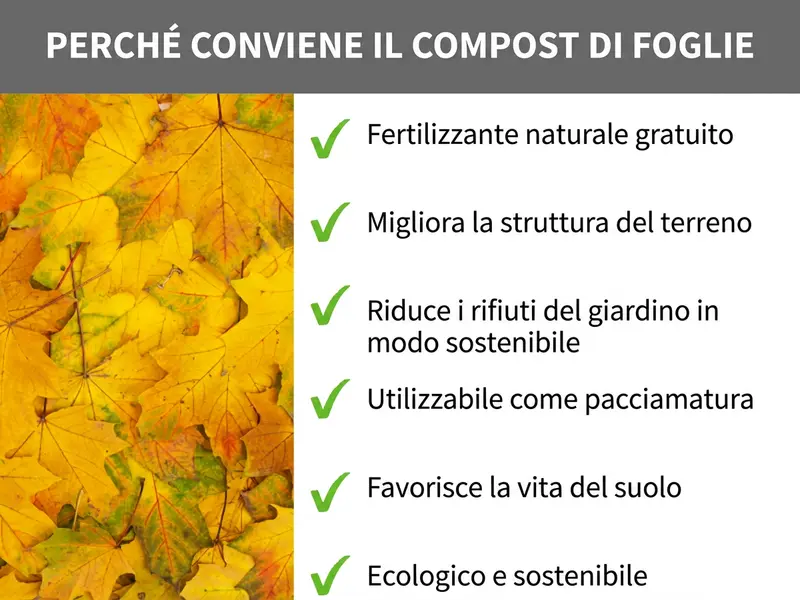Infografica: Ecco perché il compost di foglie conviene. L'elenco comprende sei punti: 1. Concime naturale gratuito. 2. Migliora la struttura del terreno. 3. Riduce i rifiuti del giardino in modo sostenibile. 4. Utilizzabile come pacciame. 5. Favorisce gli organismi del suolo. 6. Ecologico e sostenibile.