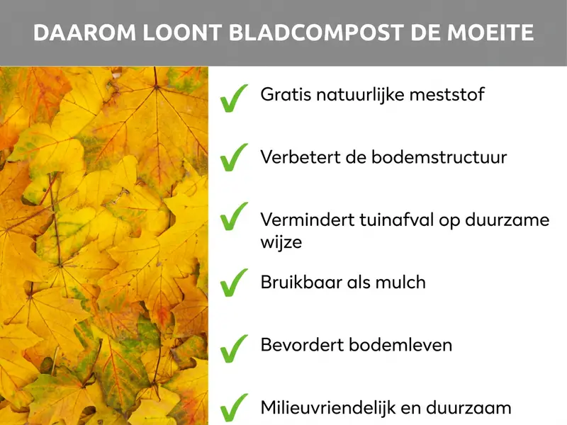 Infographic: Daarom loont bladcompost. De lijst bevat zes punten: 1. Gratis natuurlijke bemesting. 2. Verbetert de bodemstructuur. 3. Vermindert tuinafval op een duurzame manier. 4. Bruikbaar als mulch. 5. Stimuleert bodemorganismen. 6. Milieuvriendelijk en duurzaam.