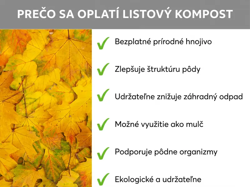 Infografika: Prečo sa oplatí kompostovať lístie – šesť bodov: 1. Bezplatné prírodné hnojivo. 2. Zlepšuje štruktúru pôdy. 3. Trvalo znižuje záhradný odpad. 4. Dá sa použiť ako mulč. 5. Podporuje pôdne organizmy. 6. Ekologické a udržateľné.