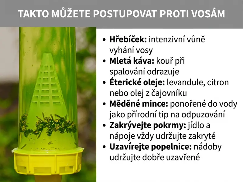 Infografika s tipy proti vosám. Vlevo je zavěšená plastová past plná vos. Vpravo je seznam šesti babských rad: 1. Hřebíček a jeho intenzivní vůně. 2. Dým ze zapálené mleté kávy. 3. Éterické oleje, jako je levandule nebo citron. 4. Měděné mince ve vodě. 5. Zakrývání jídla a nápojů. 6. Zavírání odpadkového koše.