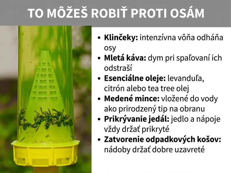 Infografika: Čo môžete urobiť proti osám. Na obrázku je vľavo zeleno-žltá plastová osia pasca s chytenými osami vo vnútri, zavesená vonku na rozmazanom zelenom pozadí. Vpravo je zoznam šiestich domácich prostriedkov proti osám: 1. Klinčeky: intenzívna vôňa odpudzuje osy. 2. Mletá káva: dym zo spaľovania odpudzuje osy. 3. Éterické oleje: levanduľový, citrónový alebo čajovníkový olej. 4. Medené mince: vložené do vody ako prírodný odpudzovač. 5. Zakrývanie jedla: jedlo a nápoje vždy zakryté. 6. Uzatváranie odpadkového koša: nádoby treba dobre uzatvoriť.