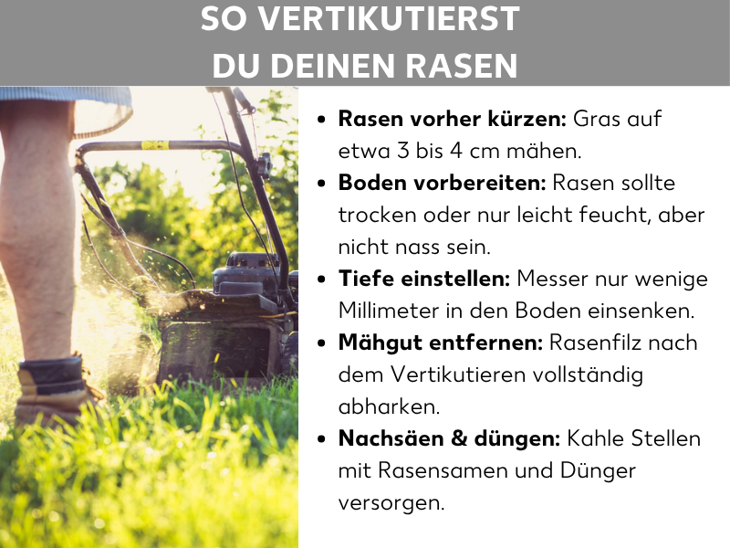 Infografik: „So vertikutierst du deinen Rasen" – Eine Anleitung in fünf Schritten, illustriert mit einem Foto einer Person, die einen Rasenmäher über einen Rasen schiebt. Die Schritte lauten: 1. Rasen vorher kürzen: Gras auf etwa 3 bis 4 cm mähen. 2. Boden vorbereiten: Rasen sollte trocken oder nur leicht feucht, aber nicht nass sein. 3. Tiefe einstellen: Messer nur wenige Millimeter in den Boden einsenken. 4. Mähgut entfernen: Rasenfilz nach dem Vertikutieren vollständig abharken. 5. Nachsäen & düngen: Kahle Stellen mit Rasensamen und Dünger versorgen.