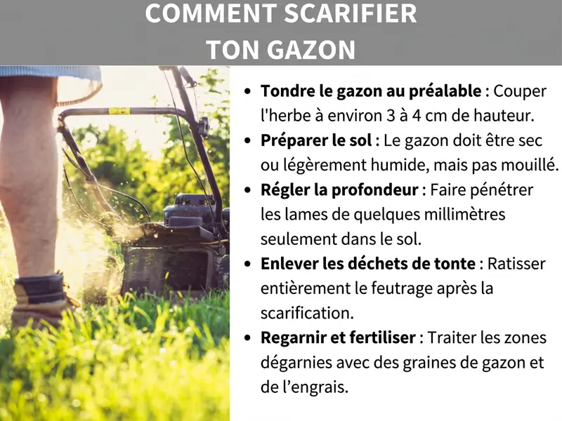 Infographie intitulée « Comment scarifier votre gazon » montrant un guide en cinq étapes : 1. Tondre l’herbe à 3-4 cm. 2. S’assurer que le sol est sec ou peu humide. 3. Régler la profondeur des lames à quelques millimètres. 4. Ratisser les résidus de feutre. 5. Regarnir les zones dégarnies et fertiliser.