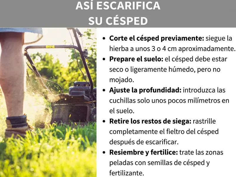 Infografía: «Cómo escarificar tu césped» — Guía en cinco pasos, ilustrada con una foto de una persona empujando un cortacésped sobre el césped. Los pasos son: 1. Recortar el césped previamente: cortar la hierba a unos 3 o 4 cm. 2. Preparar el suelo: el césped debe estar seco o ligeramente húmedo, pero no empapado. 3. Ajustar la profundidad: las cuchillas solo deben penetrar unos pocos milímetros en el suelo. 4. Retirar los restos: rastrillar completamente el fieltro del césped tras escarificar. 5. Resembrar y abonar: cubrir las zonas despobladas con semillas y abono.