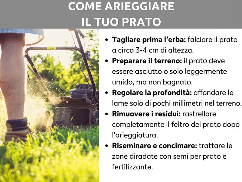 Infografica: "Come scarificare il prato" – Una guida in cinque passaggi, illustrata con la foto di una persona che spinge un tagliaerba sul prato. I passaggi sono: 1. Accorciare prima l’erba: tagliare a circa 3-4 cm. 2. Preparare il terreno: il prato deve essere asciutto o solo leggermente umido, mai bagnato. 3. Regolare la profondità: le lame devono penetrare solo pochi millimetri nel suolo. 4. Rimuovere il materiale: rastrellare completamente il feltro dopo la scarificatura. 5. Riseminare e concimare: trattare le zone diradate con sementi e concime.