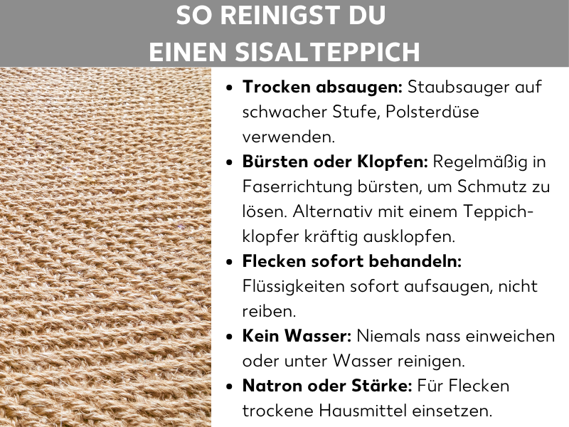 Infografik mit dem Titel „So reinigst du einen Sisalteppich": Links ein Nahaufnahme-Foto eines beigen Sisalteppichs mit grober Flechtstruktur. Rechts fünf Tipps zur Reinigung: Trocken absaugen mit Polsterdüse auf schwacher Stufe; regelmäßig in Faserrichtung bürsten oder ausklopfen; Flecken sofort aufsaugen ohne zu reiben; niemals nass einweichen oder unter Wasser reinigen; bei Flecken trockene Hausmittel wie Natron oder Stärke verwenden.