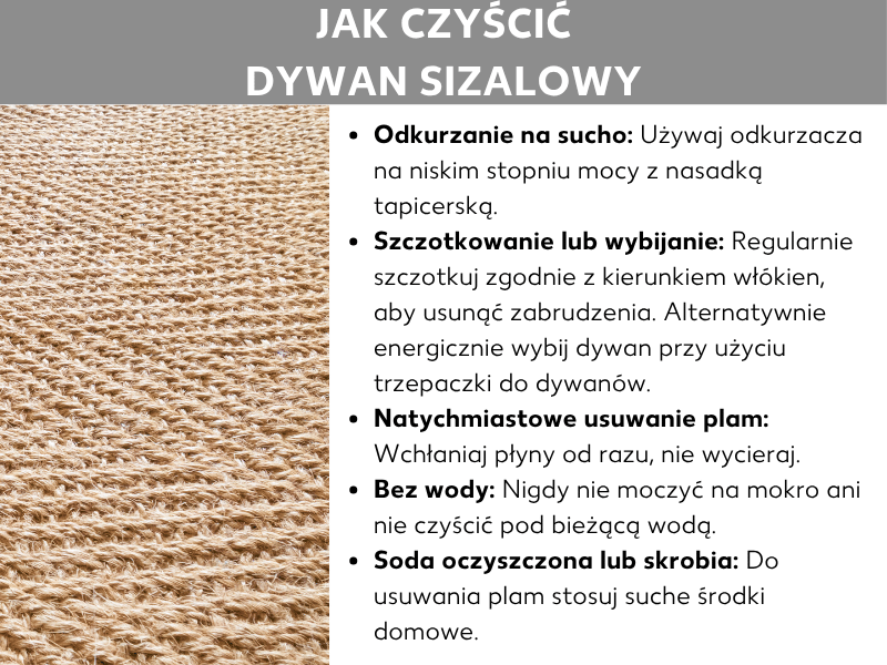 Infografika „Jak czyścić dywan sizalowy": po lewej zbliżenie beżowego dywanu sizalowego z grubym splotem, po prawej pięć porad dotyczących czyszczenia: odkurzaj na sucho nasadką do tapicerki na najniższym poziomie ssania; regularnie szczotkuj wzdłuż włókien lub trzepaj; plamy natychmiast wchłaniaj, nie pocieraj; nigdy nie zamaczaj ani nie czyść pod bieżącą wodą; do plam używaj suchych domowych środków, takich jak soda oczyszczona lub mąka ziemniaczana.