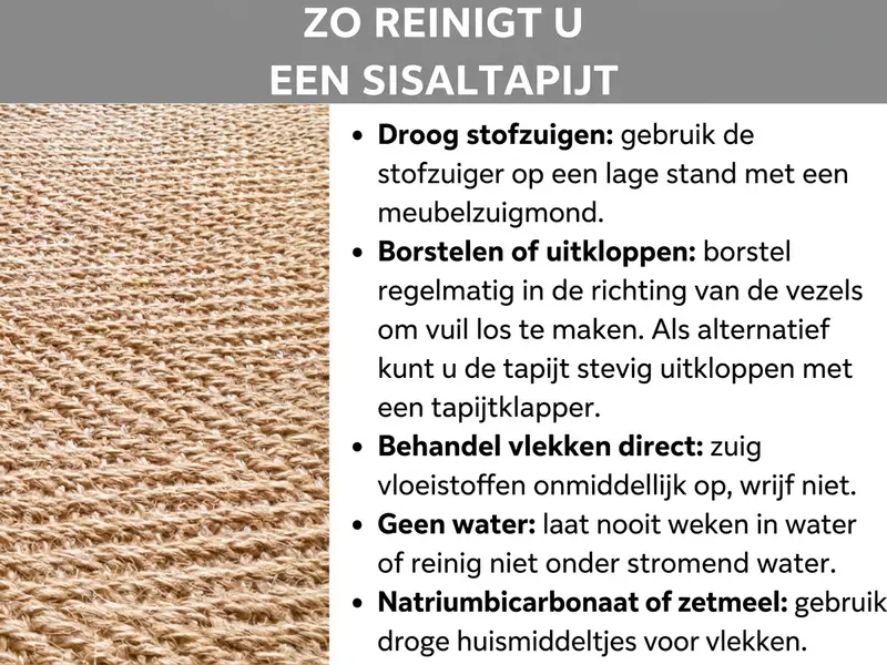 Infographic met de titel "Zo reinig je een sisaltapijt": Links een close-upfoto van een beige sisaltapijt met grove vlechtstructuur. Rechts vijf tips voor reiniging: droog zuigen met meubelmondstuk op lage stand; regelmatig in vezelrichting borstelen of uitkloppen; vlekken direct deppen zonder te wrijven; nooit nat inweken of onder water reinigen; bij vlekken droge huismiddelen zoals baking soda of zetmeel gebruiken.