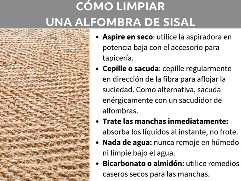 Infografía con el título «Cómo limpiar una alfombra de sisal»: a la izquierda, una foto en primer plano de una alfombra de sisal beige con tejido grueso. A la derecha, cinco consejos de limpieza: aspirar en seco con boquilla para tapicería a baja potencia; cepillar regularmente en la dirección de la fibra o sacudir; absorber las manchas de inmediato sin frotar; no empapar ni limpiar nunca con agua; para manchas, utilizar remedios caseros secos como bicarbonato o maicena.