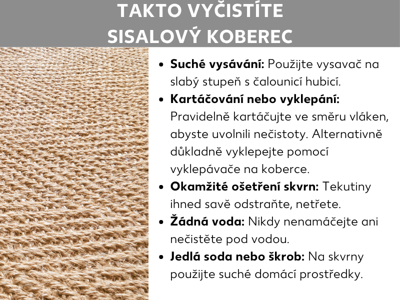 Infografika s názvem „Jak vyčistit sisalový koberec“: Vlevo detail béžového sisalového koberce s hrubou splétanou strukturou. Vpravo pět tipů na čištění: Vysávejte nasucho s nástavcem na čalounění na nízkém výkonu; pravidelně kartáčujte ve směru vláken nebo koberec vyklepejte; skvrny ihned vysušte bez tření; nikdy koberec nenamáčejte ani nečistěte pod vodou; na skvrny použijte suchý prostředek, například jedlou sodu nebo škrob.