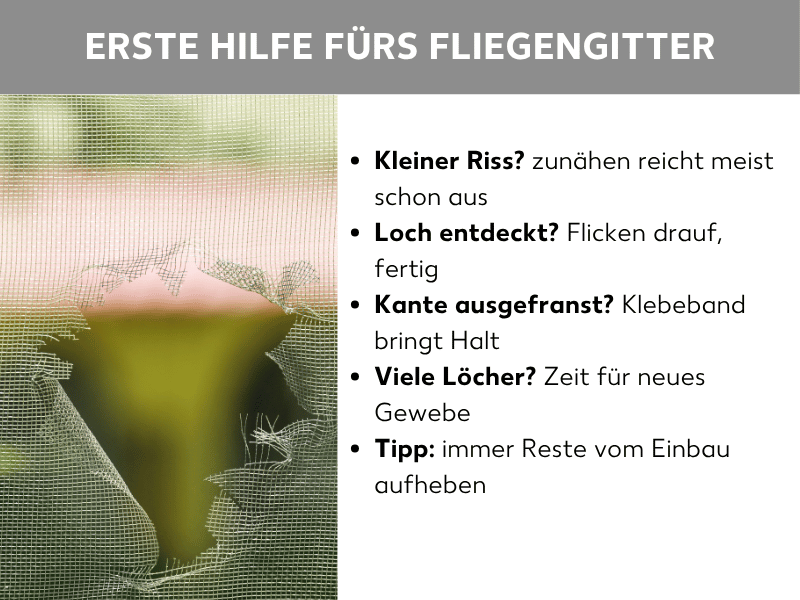 Infografik: Erste Hilfe fürs Fliegengitter: Auf der linken Seite zeigt ein Foto ein zerrissenes Fliegengittergewebe mit einem großen, ausgefransten Loch, durch das grünes Laub im Hintergrund zu sehen ist. Rechts daneben steht eine Liste mit fünf Punkten: 1. Kleiner Riss? Zunähen reicht meist schon aus. 2. Loch entdeckt? Flicken drauf, fertig. 3. Kante ausgefranst? Klebeband bringt Halt. 4. Viele Löcher? Zeit für neues Gewebe. 5. Tipp: immer Reste vom Einbau aufheben.