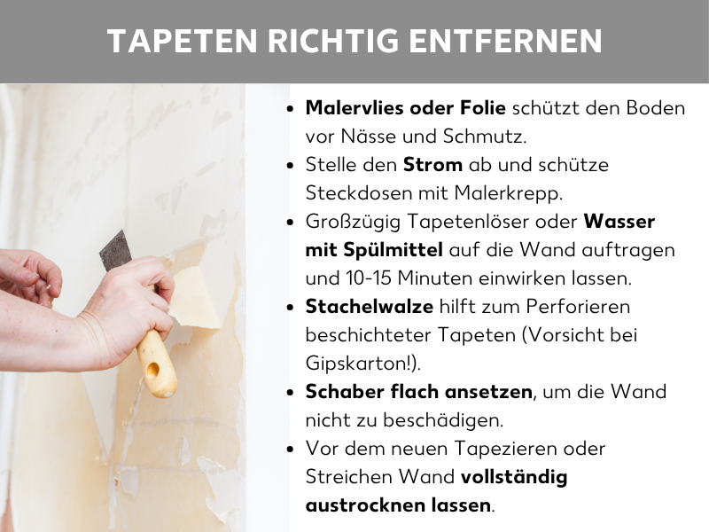 Infografik „Tapeten richtig entfernen": Eine Hand hält einen Spachtel und löst Tapete von einer Wand. Daneben eine Schritt-für-Schritt-Anleitung: Boden mit Malervlies oder Folie schützen, Strom abschalten und Steckdosen abkleben, Tapetenlöser oder Wasser mit Spülmittel 10–15 Minuten einwirken lassen, ggf. Stachelwalze zum Perforieren nutzen, Schaber flach ansetzen, Wand vor dem Neu-Tapezieren vollständig trocknen lassen.