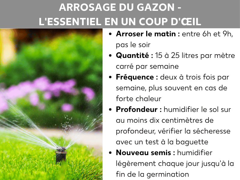 Infographie : « Arroser sa pelouse : l'essentiel en un coup d'œil ». À gauche, la photo d'un arroseur de jardin projetant de l'eau sur une pelouse verte et des fleurs. À droite, cinq points clés : arroser le matin entre 6 h et 9 h, pas le soir ; quantité : 15 à 25 litres par mètre carré et par semaine ; fréquence : deux à trois fois par semaine, plus souvent en cas de forte chaleur ; profondeur : humidifier le sol sur au moins dix centimètres, à vérifier en testant l’humidité ; semis récent : humidifier légèrement chaque jour jusqu'à la germination.