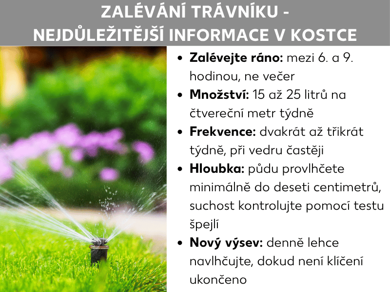 Infografika: „Zalévání trávníku – to nejdůležitější v kostce“. Vlevo je fotka zahradního postřikovače zavlažujícího zelený trávník. Vpravo je pět klíčových bodů: zalévejte ráno mezi 6. a 9. hodinou, množství 15 až 25 l/m² týdně, frekvence dvakrát až třikrát týdně, půdu provlhčete do hloubky 10 cm a nový výsev udržujte denně vlhký.