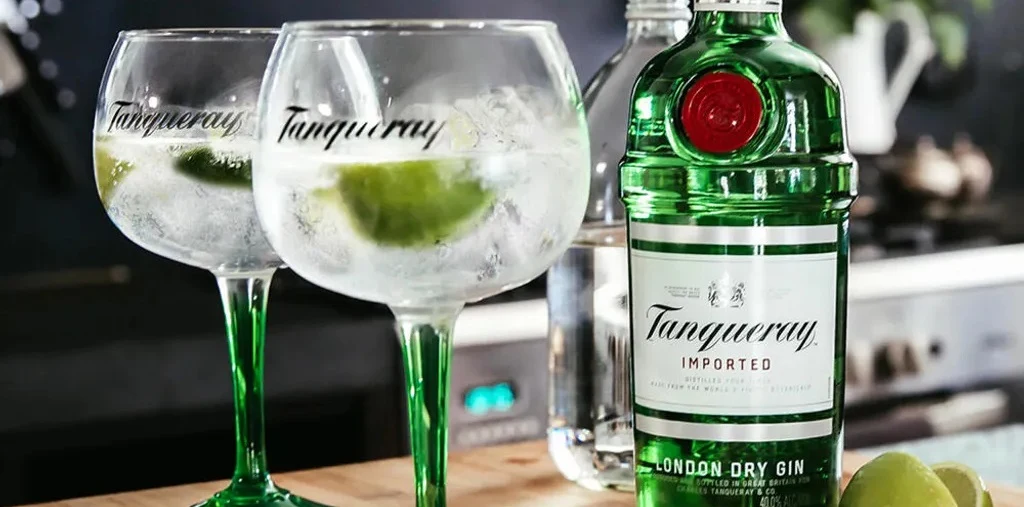 Gläser und Flasche Tanqueray Gin