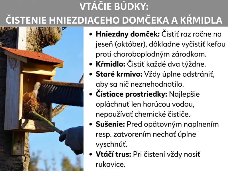 Infografika: Infografika s názvom „Čistenie vtáčej búdky a kŕmidla". Vľavo je fotografia, na ktorej osoba v rukaviciach čistí kefou drevenú vtáčiu búdku s červenou strechou pripevnenú na strome. Vpravo je šesť bodov: Búdku na hniezdenie čistite raz ročne na jeseň (október) a dôkladne ju vykefujte, aby ste odstránili choroboplodné zárodky. Kŕmidlo čistite každé dva týždne. Staré krmivo vždy úplne odstráňte, aby sa neskazilo. Na čistenie používajte iba horúcu vodu, nie chemické čistiace prostriedky. Pred opätovným naplnením alebo zatvorením nechajte búdku úplne vyschnúť. Pri čistení vždy noste rukavice kvôli vtáčiemu trusu.