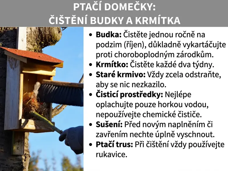 Infografika: Infografika s názvem „Ptačí budky: Jak čistit hnízdní budku a krmítko". Vlevo je fotografie, na které osoba v rukavicích čistí kartáčem dřevěnou hnízdní budku s červenou střechou připevněnou na stromě. Vpravo je šest tipů ve formě seznamu: Hnízdní budku čistěte jednou ročně na podzim (v říjnu) a důkladně ji vykartáčujte, abyste odstranili choroboplodné zárodky. Krmítko čistěte každé dva týdny. Staré krmivo vždy kompletně odstraňte, aby se nezkazilo. K čištění používejte pouze horkou vodu, žádné chemické prostředky. Před opětovným naplněním nebo zavřením nechte budku kompletně vyschnout. Při čištění vždy noste rukavice kvůli ptačímu trusu.